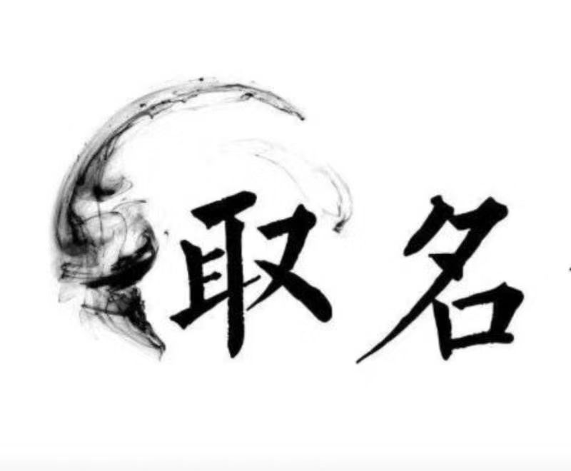  武功宝宝取名 大师一对一人工起名