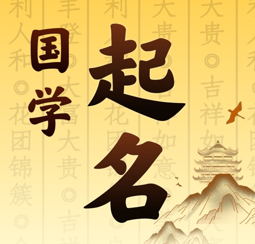 武功国学起名 人工起名一对一